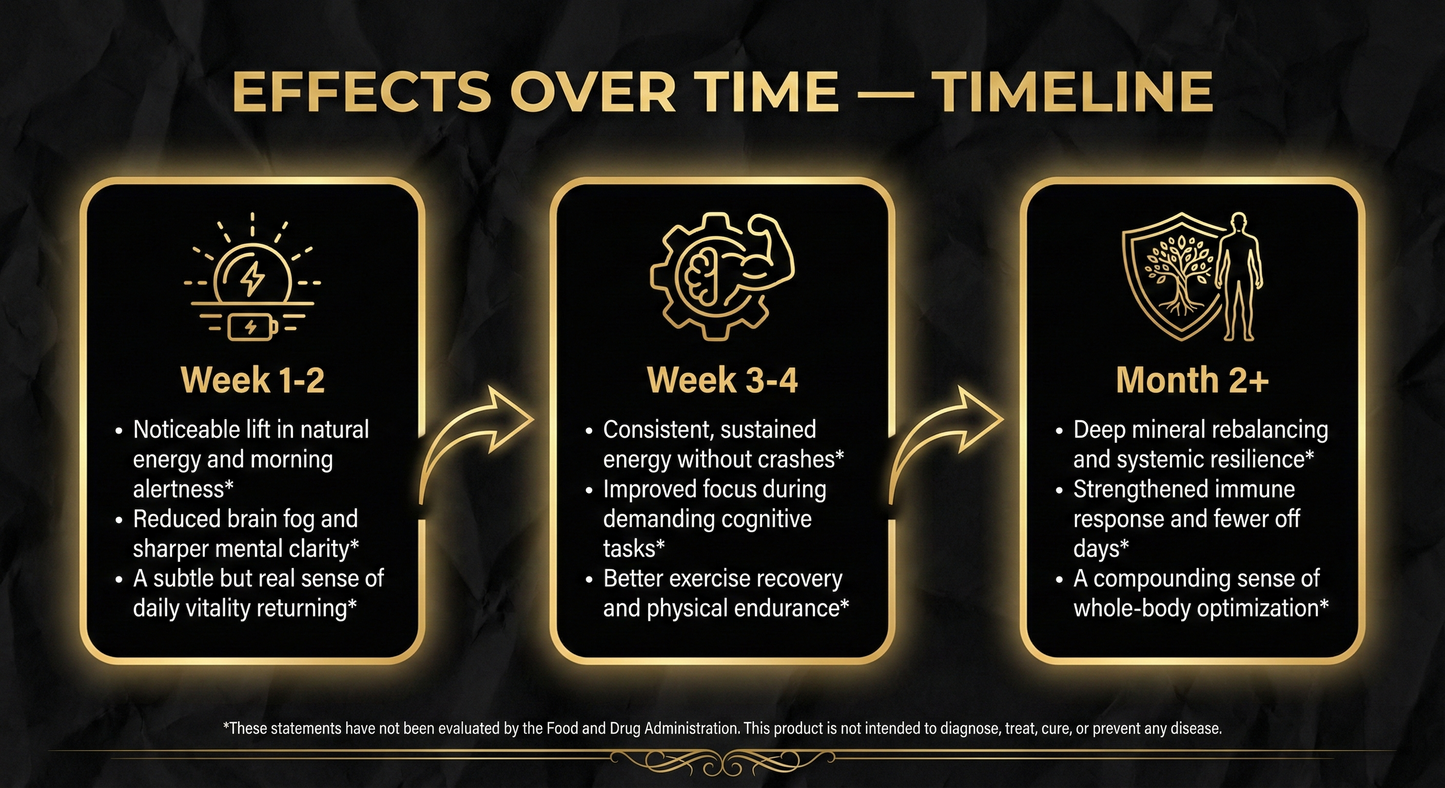 Ultrasonic Liquid Shilajit Drops — 1 oz (30 mL)